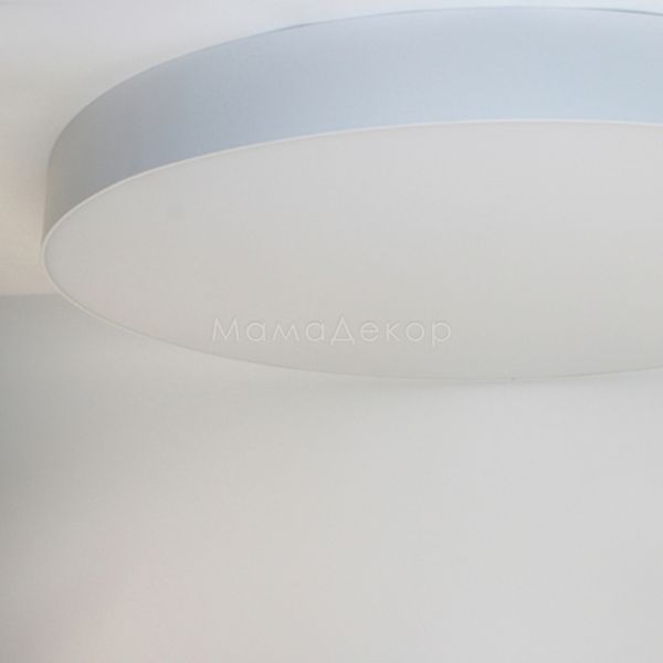 Потолочный светильник Friendlylight FL2039 Mono R80 LED 120W