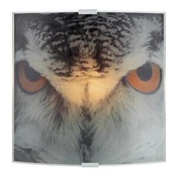 Настінний світильник Markslojd 105242 Owl