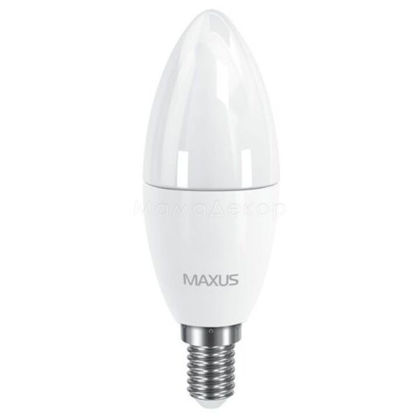 Лампа світлодіодна Maxus 1-LED-533-01 потужністю 6W. Типорозмір — C37 з цоколем E14, температура кольору — 3000K