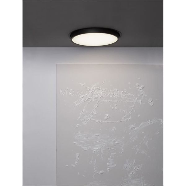 Потолочный светильник Nova Luce 9058114 Perfect