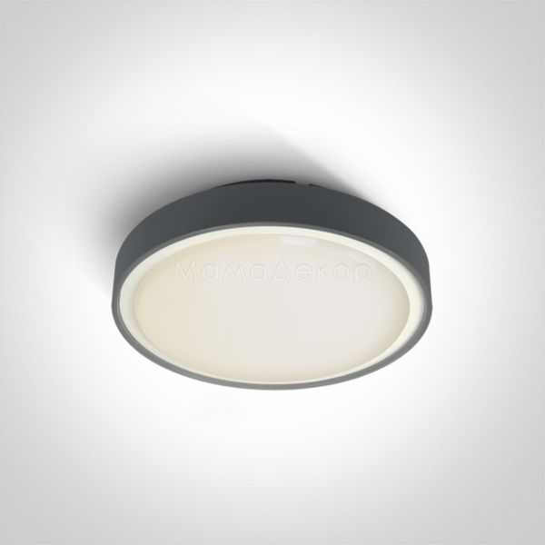 Стельовий світильник One Light 67280AN/AN/W The LED Plafo Outdoor Round