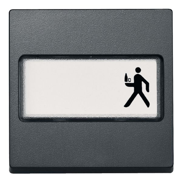 Лицевая панель с полем для надписи Schneider Electric 433314 Merten System M