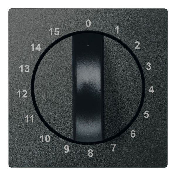 Лицевая панель таймера Schneider Electric 539014 Merten System M