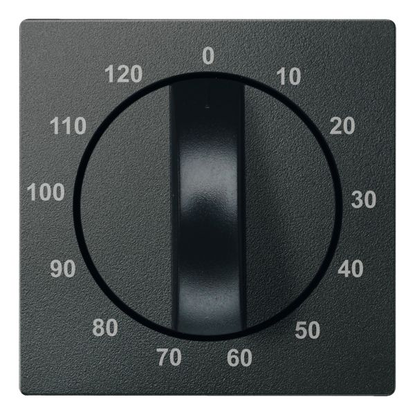 Лицевая панель таймера Schneider Electric 539214 Merten System M