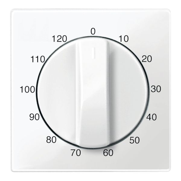 Лицевая панель таймера Schneider Electric 567519 Merten System M