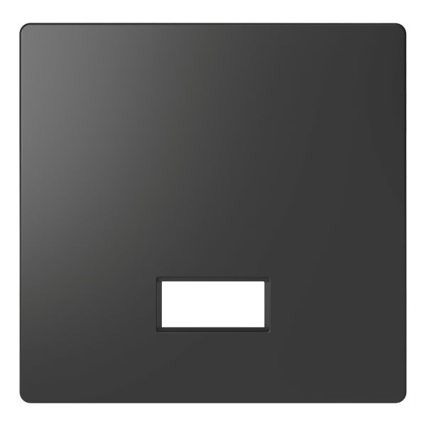 Лицьова панель з полем для напису Schneider Electric MEG3350-6034 Merten System D