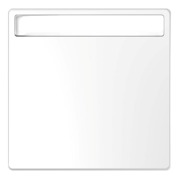 Лицьова панель з полем для напису Schneider Electric MEG3360-6035 Merten System D