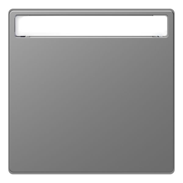 Лицьова панель з полем для напису Schneider Electric MEG3360-6036 Merten System D