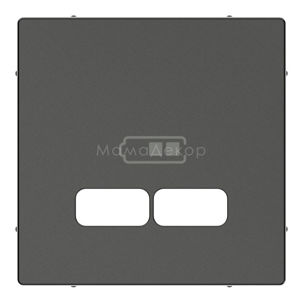 Лицьова панель USB-розетки Schneider Electric MTN4367-0414 Merten System M