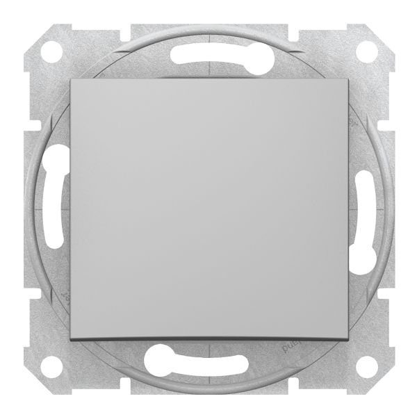 Выключатель без фиксации 1-клавишный Schneider Electric SDN0700160 Sedna
