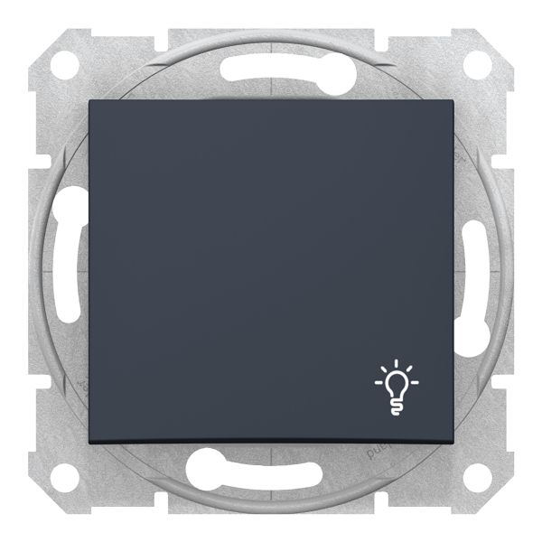Выключатель без фиксации 1-клавишный Schneider Electric SDN0900170 Sedna