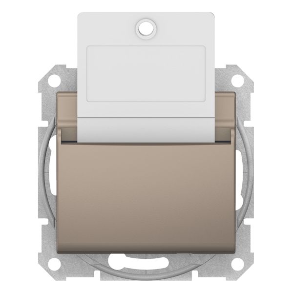 Выключатель карточный Schneider Electric SDN1900168 Sedna
