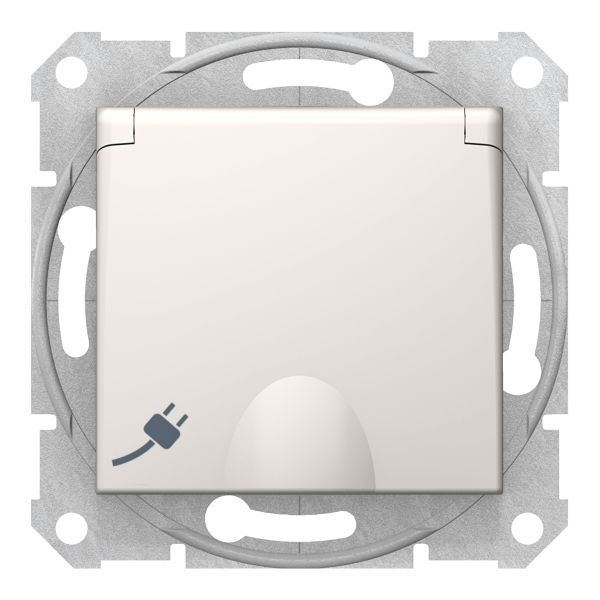 Розетка 220В Schneider Electric SDN3100123 Sedna