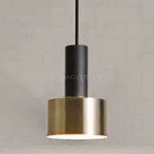 Підвісний світильник Terra Svet 054901/1 BK-GD Buto Lamp