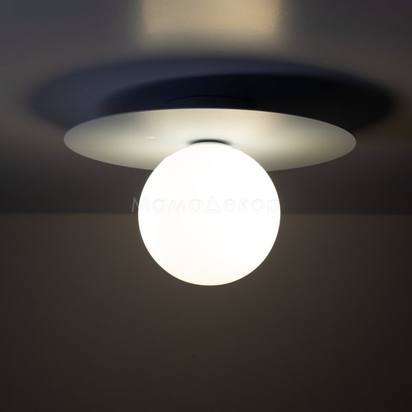 Бра TK Lighting 10230 Pixi