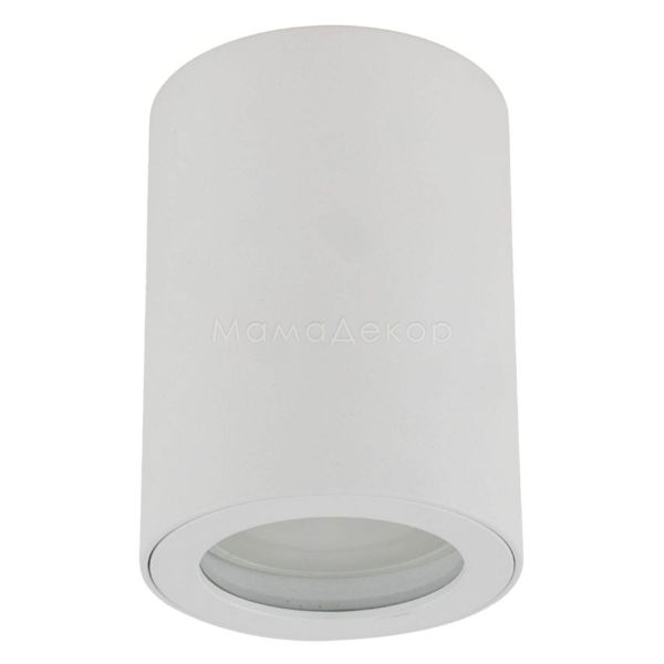 Точковий світильник TK Lighting 10932